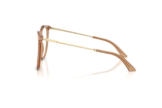 Side view Jimmy Choo JC3060 (5076)
