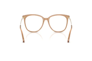 Rear view Jimmy Choo JC3060 (5076)