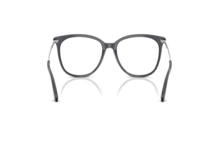Rear view Jimmy Choo JC3060 (5106)