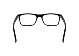 Rear view Lacoste L2886 N (001)