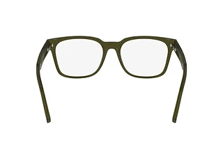 Rear view Lacoste L2947 (275)