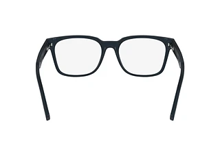 Rear view Lacoste L2947 (410)