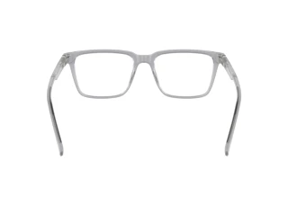 Rear view Lacoste L2963 N (035)