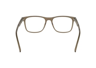 Rear view Lacoste L2974 (210)