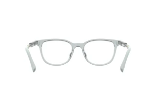 Rear view Lacoste L3669 (970)