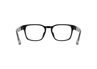 Rear view Lacoste L4010 (001)
