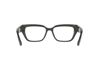 Rear view Lacoste L4014 (035)