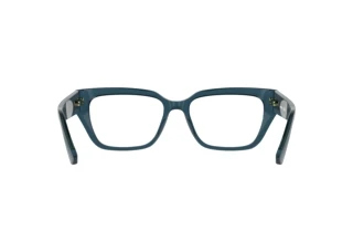 Rear view Lacoste L4014 (410)