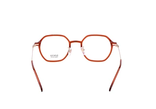 Rear view Lozza VL4229 (01F3)