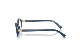 Side view Miu Miu MU 01XV (08Q1O1)