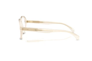 Side view Moncler ME2003 (3003)