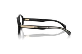 Side view Moncler ME2005 (3001)