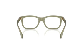 Rear view Moncler ME2019 (3024)