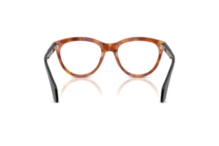 Rear view Moncler ME2026 (3004)