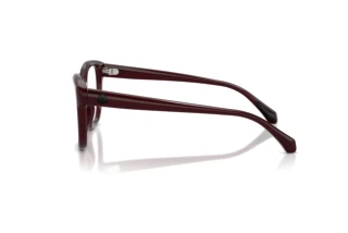 Side view Moncler ME2028 (3044)