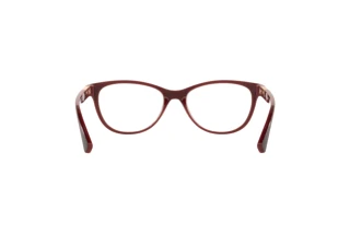 Rear view Oakley PLUNGELINE (OX8146 - 814604)