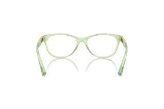 Rear view Oakley PLUNGELINE (OX8146 - 814610)