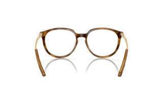Rear view Oakley BMNG (OX8150 - 815002)