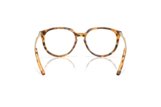 Rear view Oakley BMNG (OX8150 - 815007)