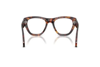 Rear view Persol PO0054V (24)
