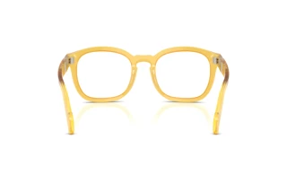 Rear view Persol PO0082V (204)