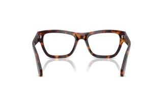 Rear view Persol PO0091V (24)