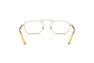 Rear view Persol PO1020V (1129)