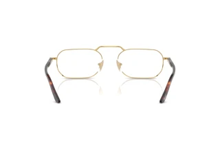Rear view Persol PO1020V (515)