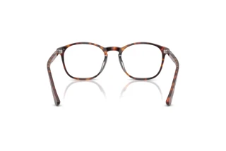 Rear view Persol PO3007VX (24)