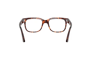 Rear view Persol PO3252V (24)