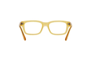 Rear view Persol PO3301V (204)