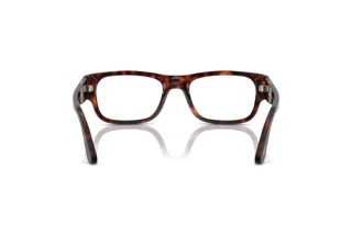 Rear view Persol PO3324V (24)