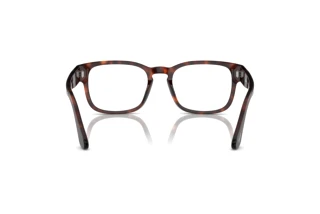 Rear view Persol PO3334V (24)