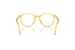 Rear view Persol PO3353V (204)