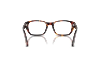 Rear view Persol PO3365V (24)