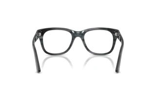Rear view Persol PO3372V (1224)