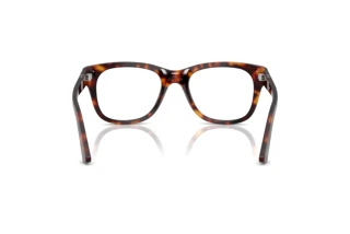 Rear view Persol PO3372V (24)