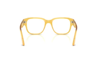 Rear view Persol PO3374V (204)