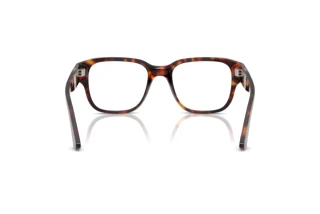 Rear view Persol PO3374V (24)