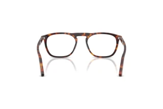 Rear view Persol PO3391V (24)