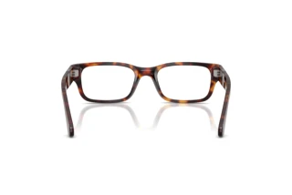 Rear view Persol PO3399V (24)