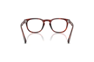 Rear view Persol GIANNI (PO3406V - 1242)
