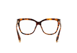 Rear view Philipp Plein VPP051M (0728)
