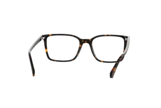 Rear view Polaroid PLD D499 (086)