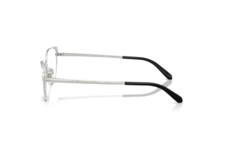 Side view Ralph Lauren RL5131 (9001)