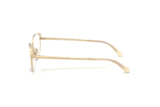 Side view Ralph Lauren RL5131 (9116)