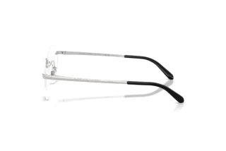 Side view Ralph Lauren RL5134 (9001)