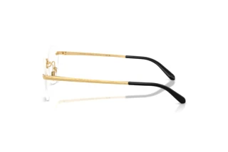 Side view Ralph Lauren RL5134 (9004)