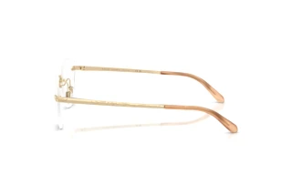 Side view Ralph Lauren RL5134 (9116)