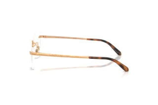 Side view Ralph Lauren RL5134 (9153)